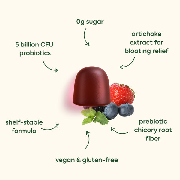 PlantPeople WonderBiome Pre and Probiotic Gummies | Kerwell