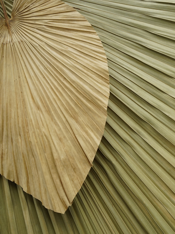 Soak in Summer Wellness with Mindful Tips