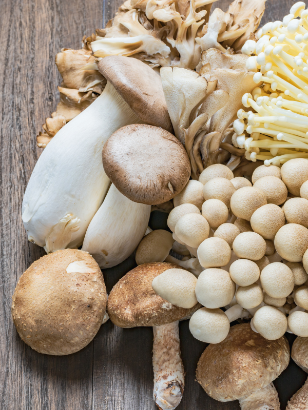 Functional Fungi 101: Reishi and Lion's Mane Unveiled