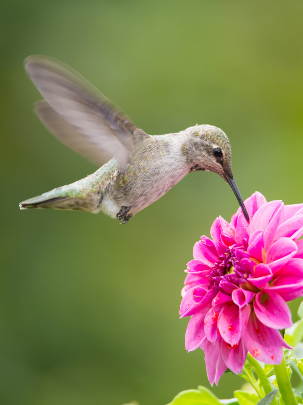 Embracing Change: StellaVia's Revolutionary Approach to Menopause Wellness