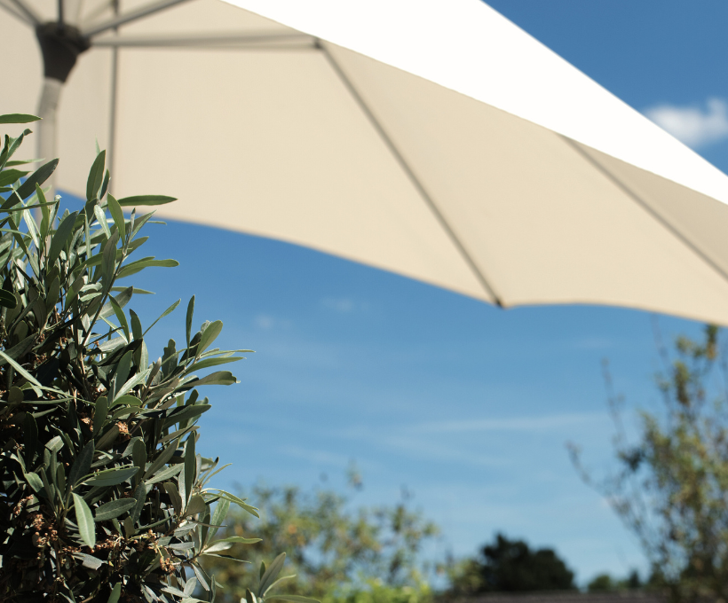 Old Naperville Block Party