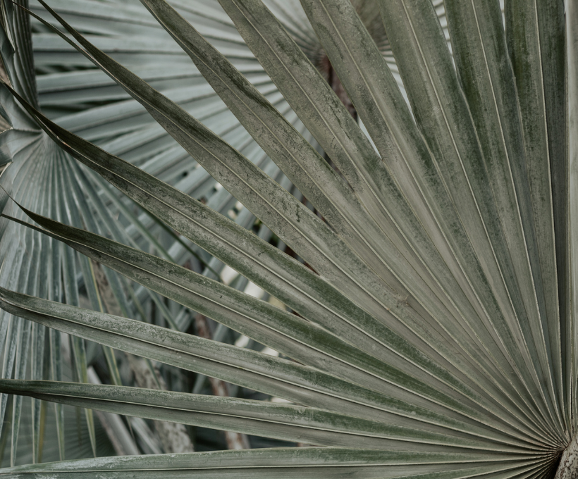 Naperville Last Fling