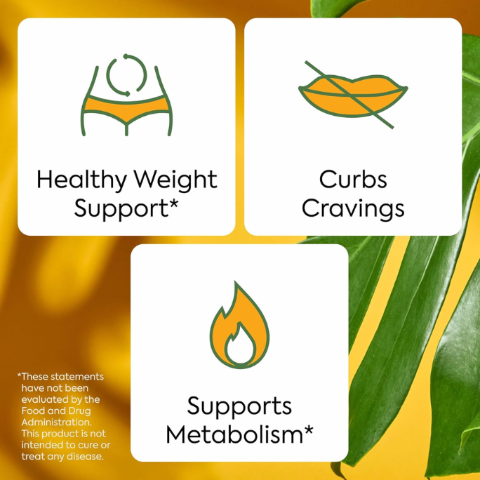 WonderBurn Gummies - Metabolism & Cravings Control Gummies, Zero Sugar
