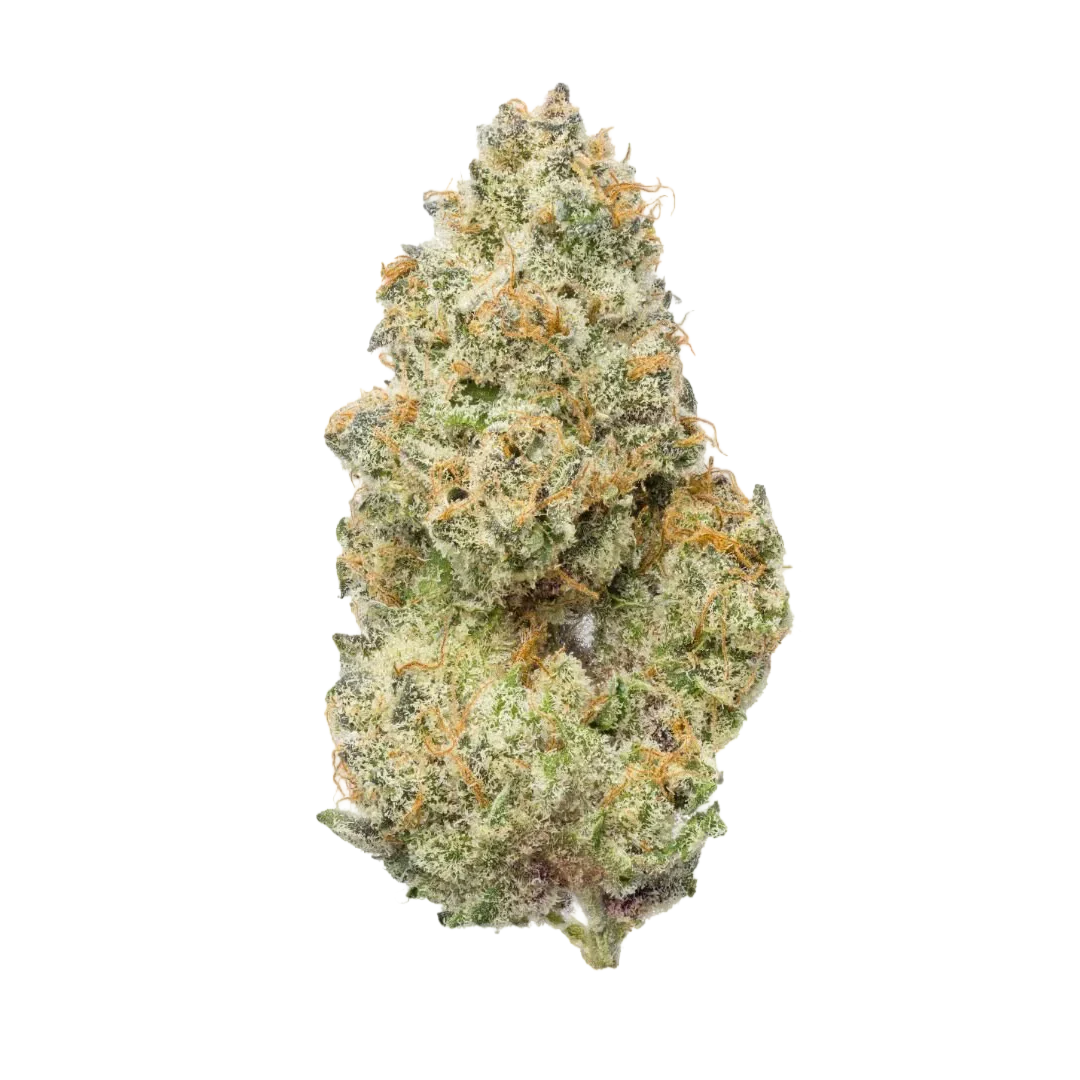 Cherry Kush THCA